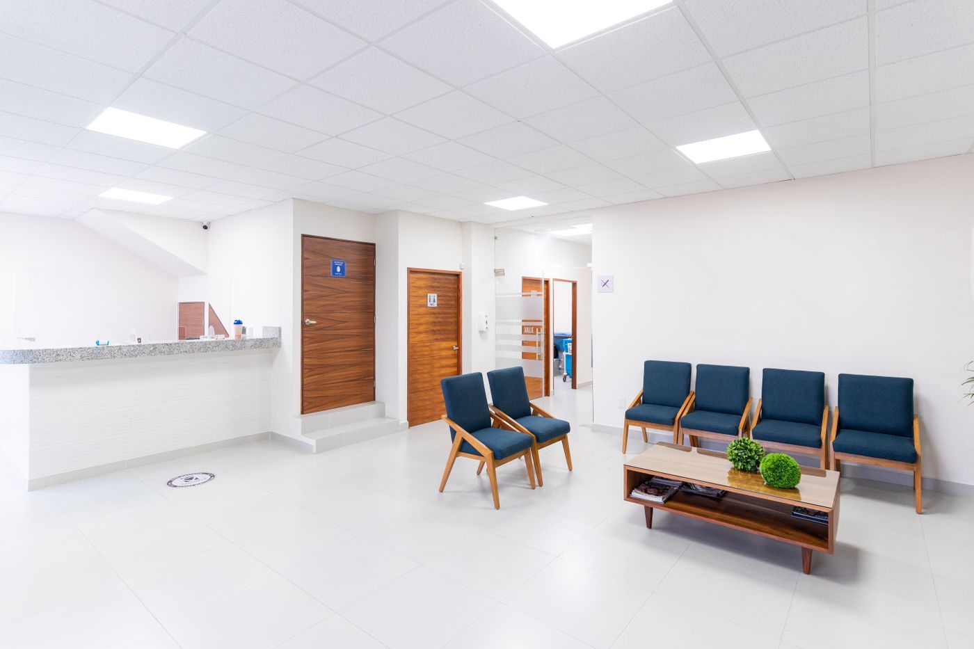 Bright, modern clinic waiting area with warm wood doors, wood-framed navy chairs, a low coffee table with greenery, and a clean reception desk.
