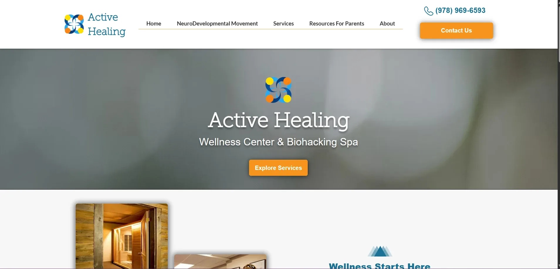 The website before the redesign